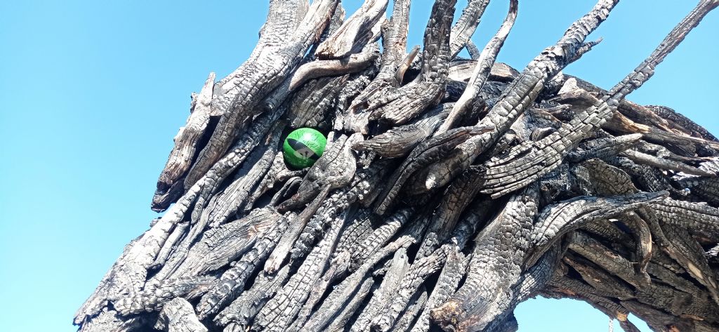 Tutte le sculture di Marco Martalar.....in Trentino